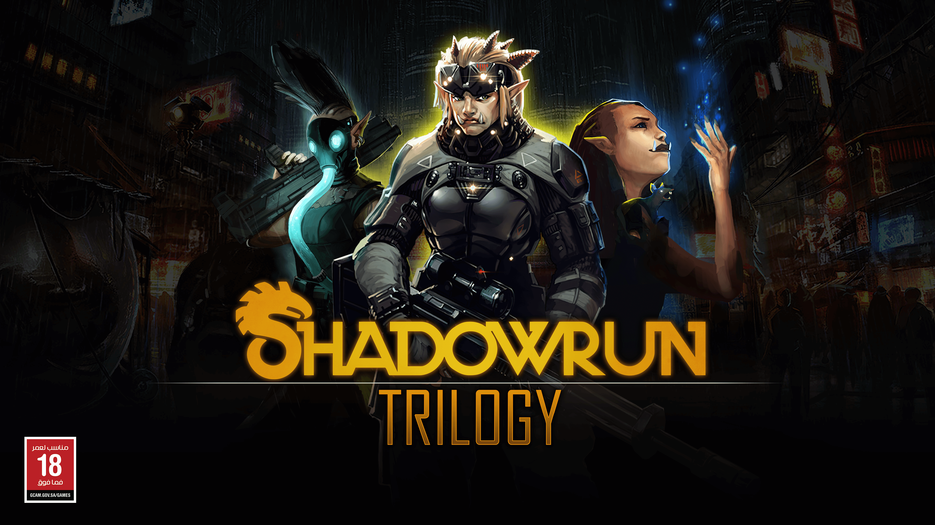  Shadowrun - PC : Video Games